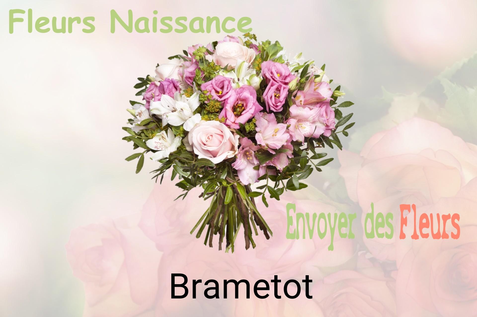 Bouquet de fleurs de naissance livré à Brametot